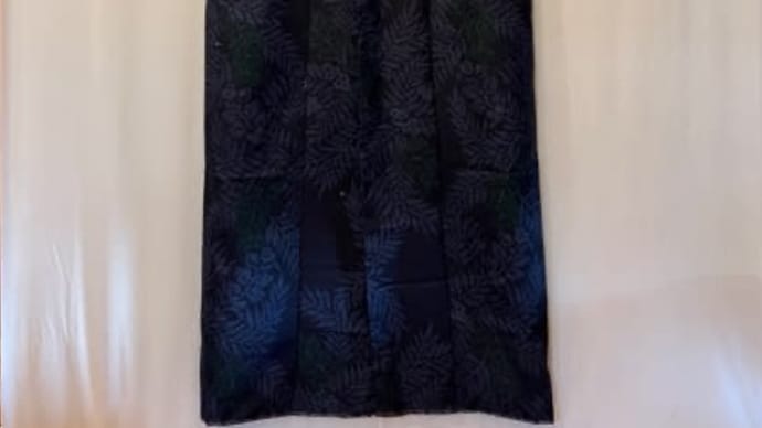 袷の着物の袖が付いた・・・衿肩開きが大きすぎて
