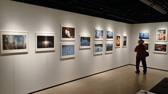 写真展の紹介 「森の鼓動」