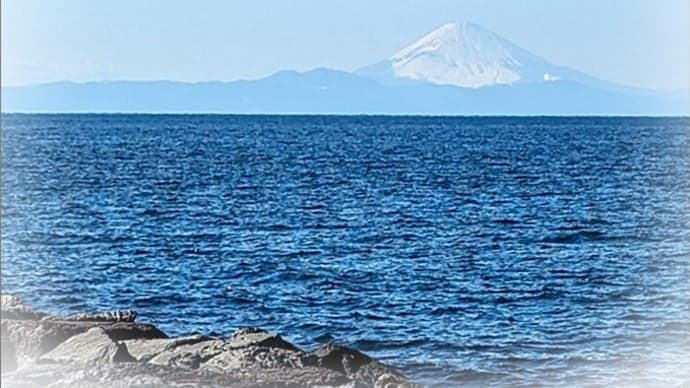 沖ノ島へ🐶富士山見えた✨