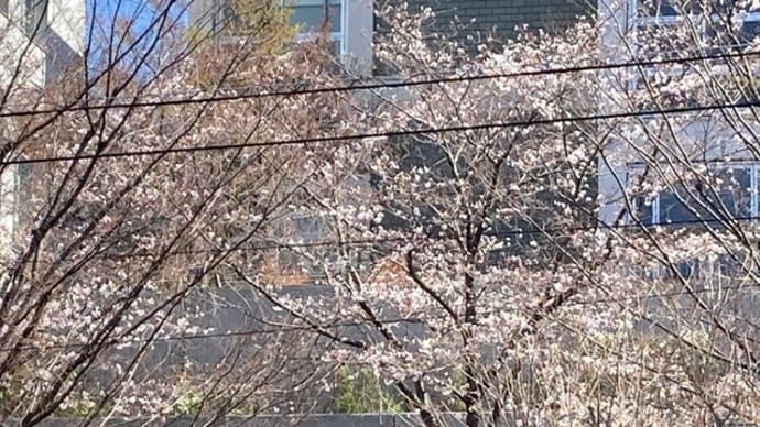 お墓参り