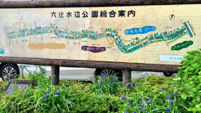 京浜東北線から埼京線まで、六辻水辺公園を歩いてみた!