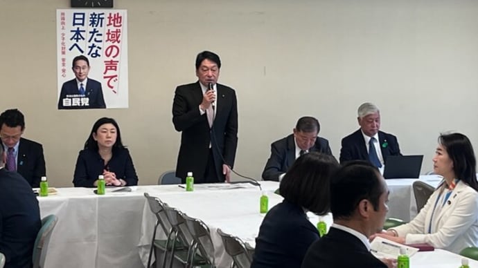 あなたも実感、スーダン邦人救出成功は軍運用の第一歩