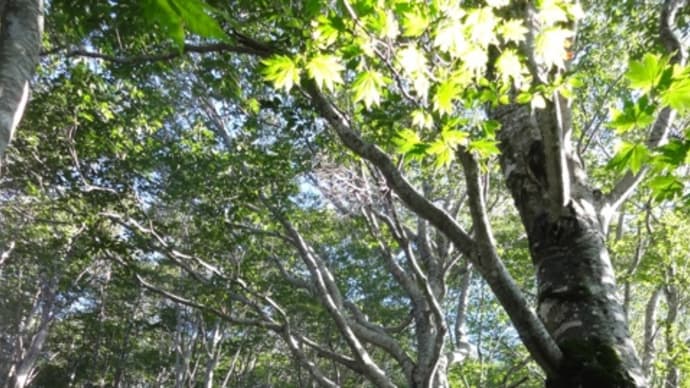 「爪を守るために」　中丸山コース