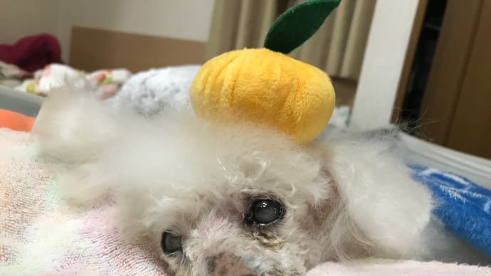 2023年初投稿🎉✨