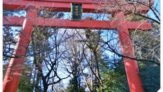 2年振りの初詣