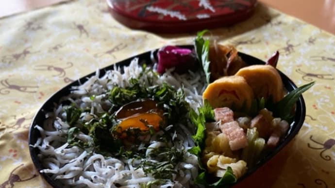 私弁⭐︎釜揚げしらす丼弁当♪
