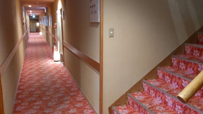 奈良旅行⑤~お宿のお部屋