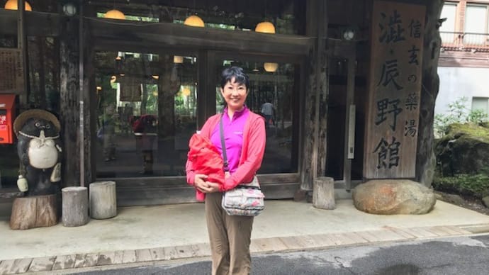 信玄の薬湯 澁・辰野館
