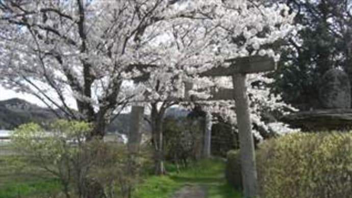 松嶋(まつしま)神社 in 鳥取市嶋
