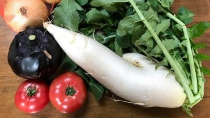 振り売りの賀茂のお野菜で晩ごはん