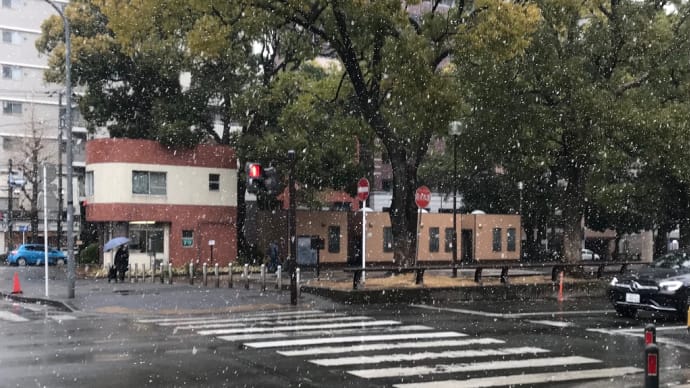 昨日は雪でした〈英訳付〉
