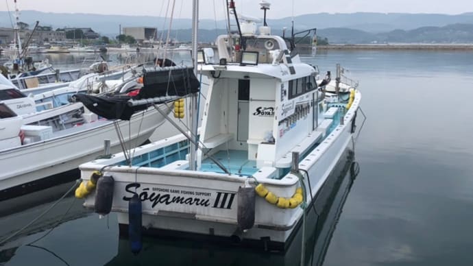 好調❗️イカメタル‼️・・