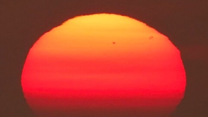 達磨太陽(朝陽) 2023年だるま朝日16号 7月28日