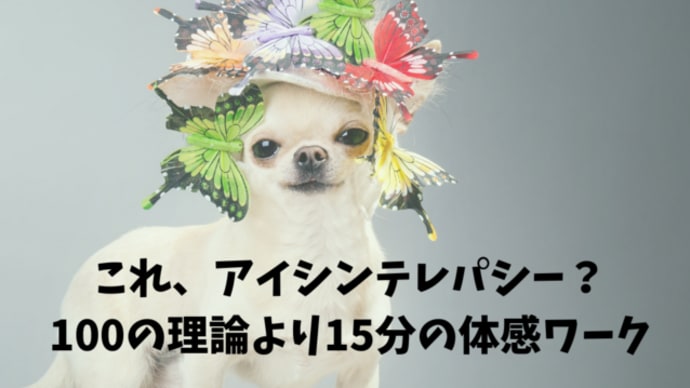 これ、アイシンテレパシー?100の理論より15分の体感ワーク
