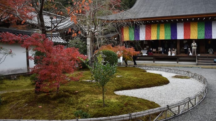 もみじ狩り 京都府右京区 紅葉名所めぐり3日目 【5】-(4)小倉山 二尊院 本堂から唐門ともみじ
