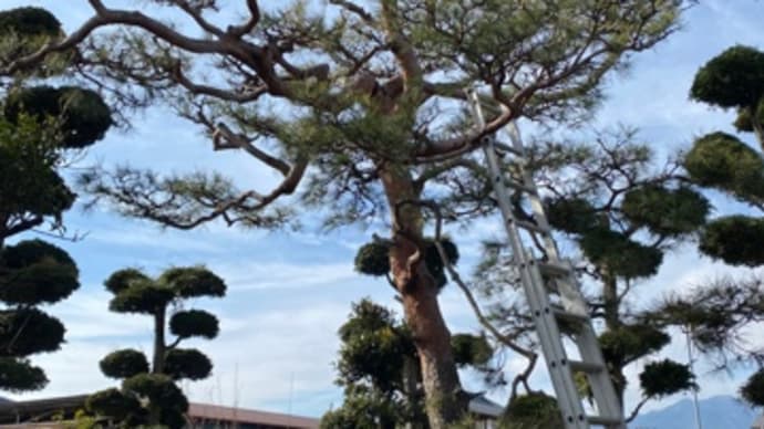 寒いの苦手