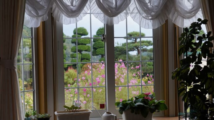 さつま芋のお届け物