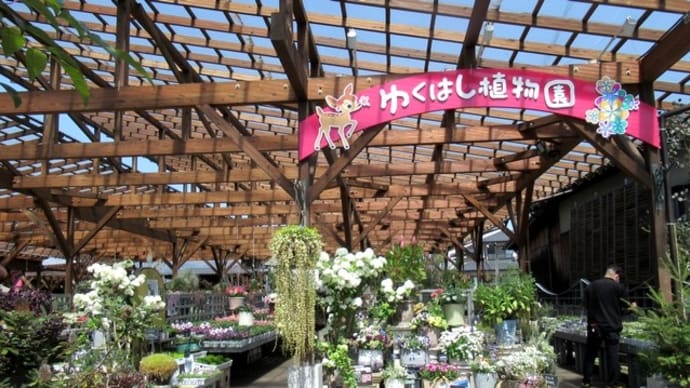 行橋植物園に 210323