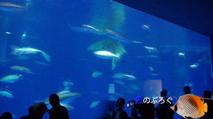 いおワールド かごしま水族館