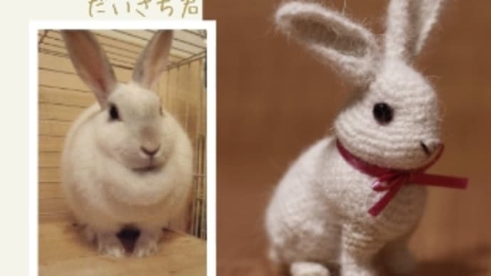 ☆☆だいきちぐるみ(ミニウサギ)抜け毛であもぐるみ