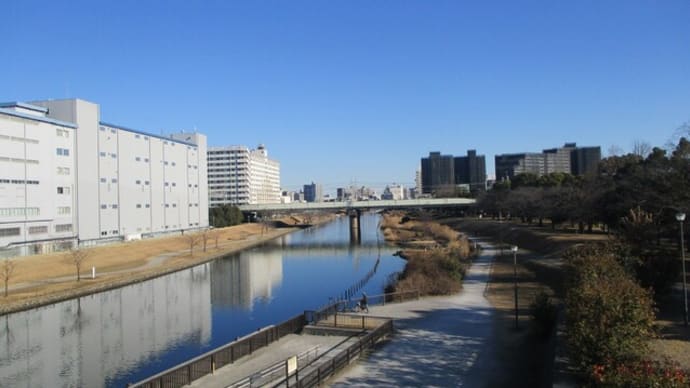 係ミス 声は上ずる 一大事 なんてことをするの