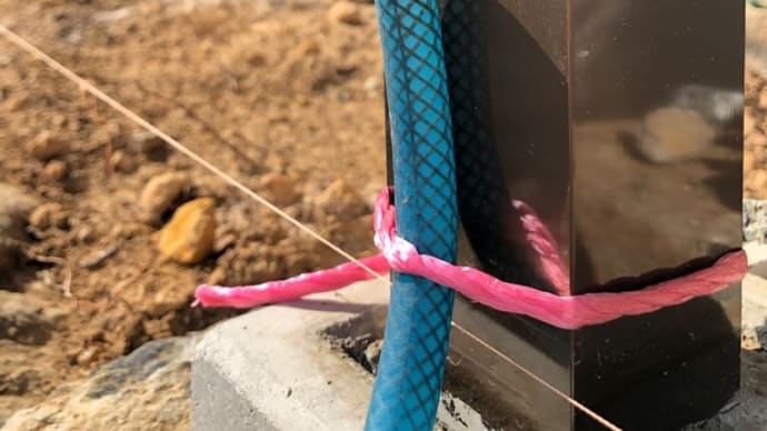 東生垣の改修に手を着ける…<その⑨>