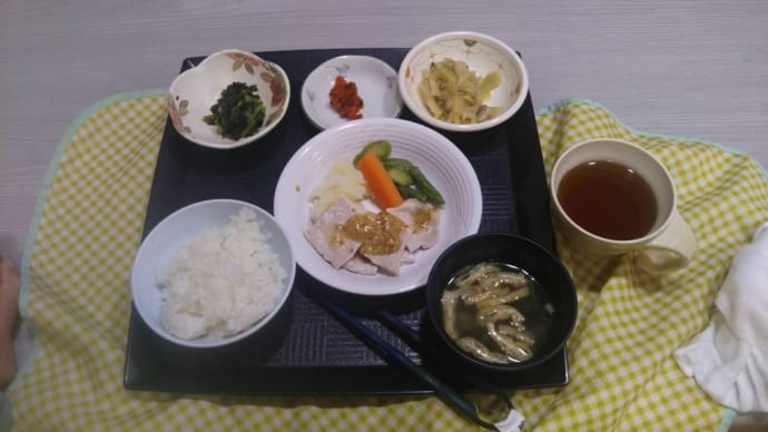 新たなショートステイ先