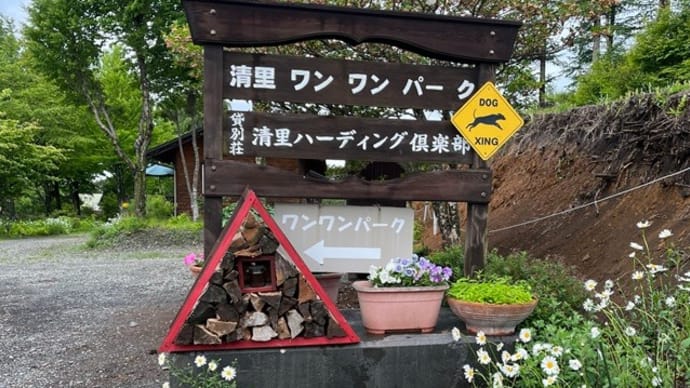 旅行2日目、お宿のドックランで遊ぶ