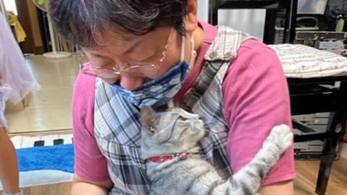 シルフィの目薬さし、格闘しています