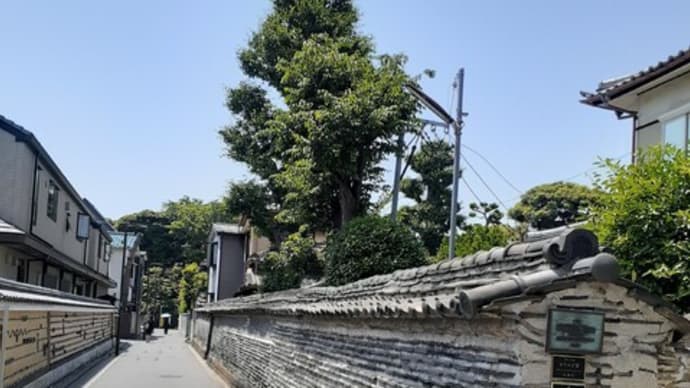 谷中の路地の夏