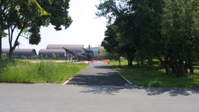5月の夢の島公園:一般開放中となっている夢の島公園アーチェリー場内の散策 PART1