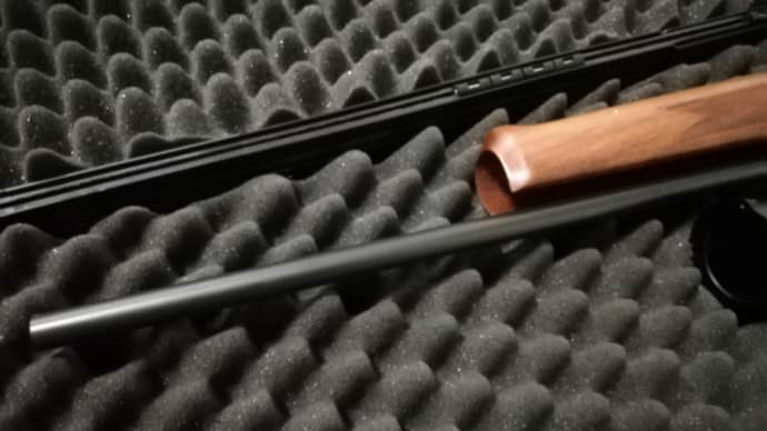 今日は「いい銃の日」
