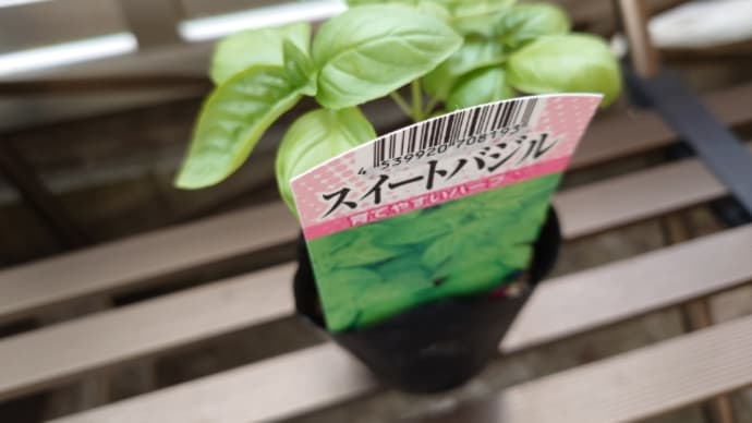 今日はいろいろ買い出しに🚘=з=з=з
