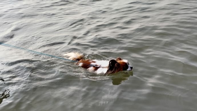 最初で最後の海水浴！