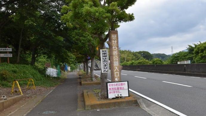 しょうぶ・あじさい狩り 神奈川県中郡二宮町 二宮せせらぎ公園(1)あじさい見頃
