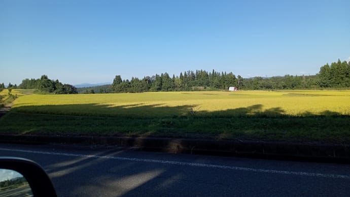 気持ちの良い日が続いています