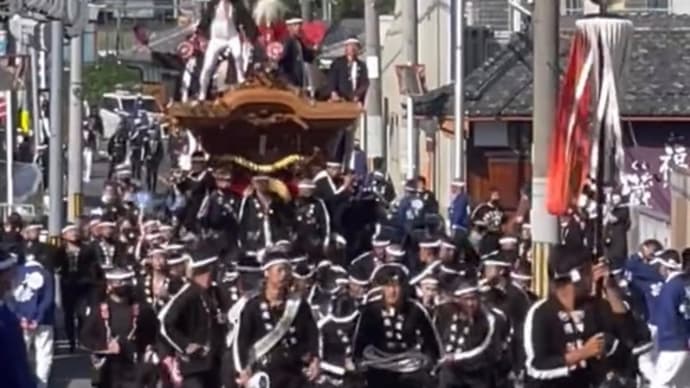 櫻井神社へ宮入りシーン❗️上神谷だんじり祭り 豊田だんじり❗️