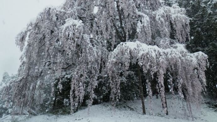 雪の合戦場（二本松市）