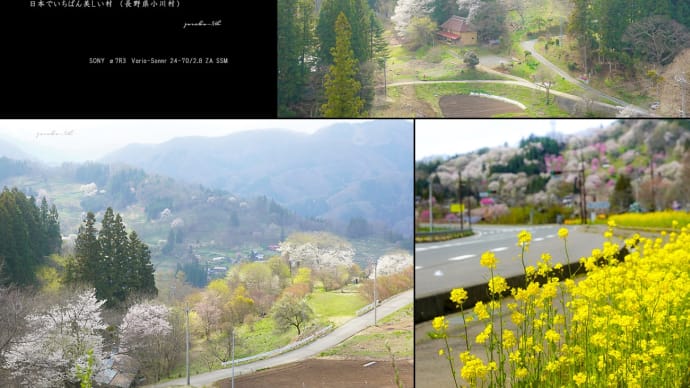 日本でいちばん美しい村