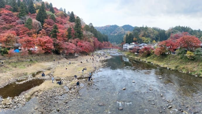 紅葉