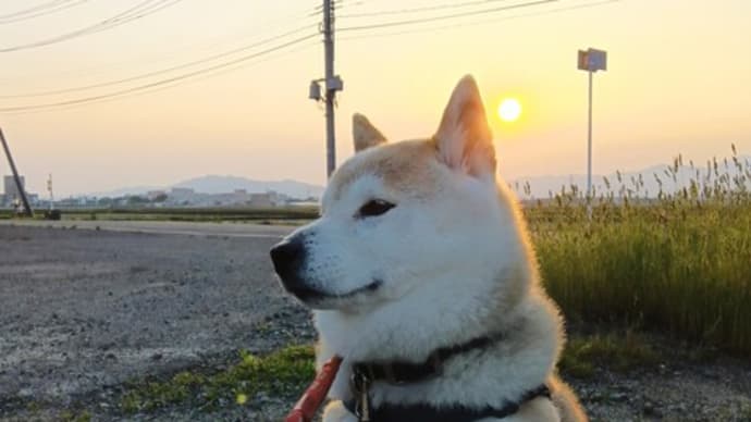 元気です。