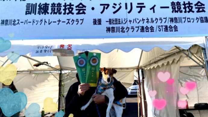 神奈川北スーパードッグトレーナーズクラブアジリティー競技会