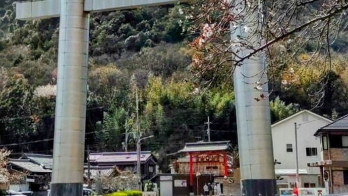 お孫ちゃんとトレッキングその1~播磨アルプス 低山で楽チンと思っていたら・・・~