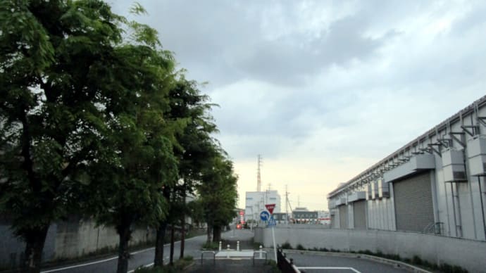 04月19日 よく通るコース。