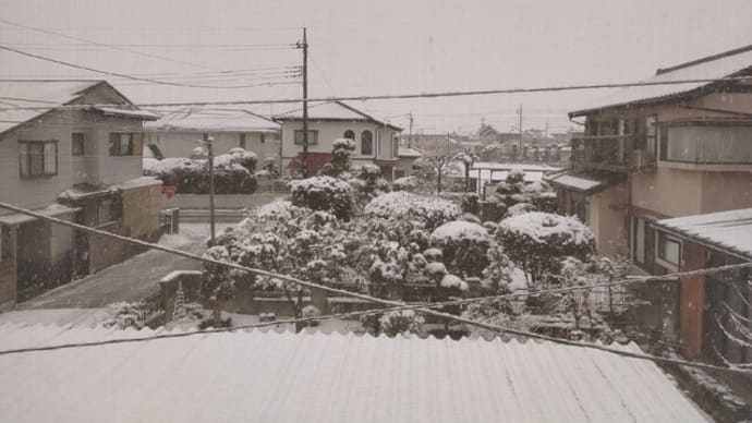 群馬も雪降り・・・