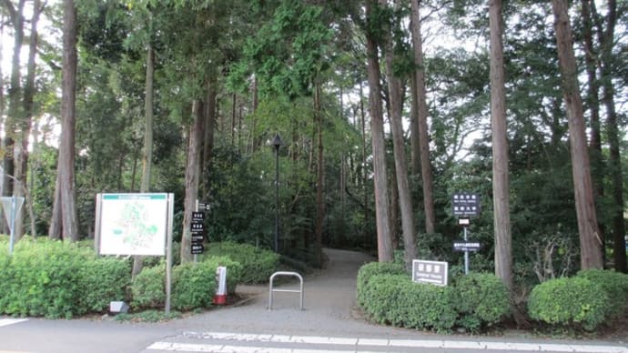 麗澤の杜②:柏市