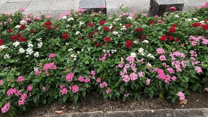 名古屋~朝の散歩中