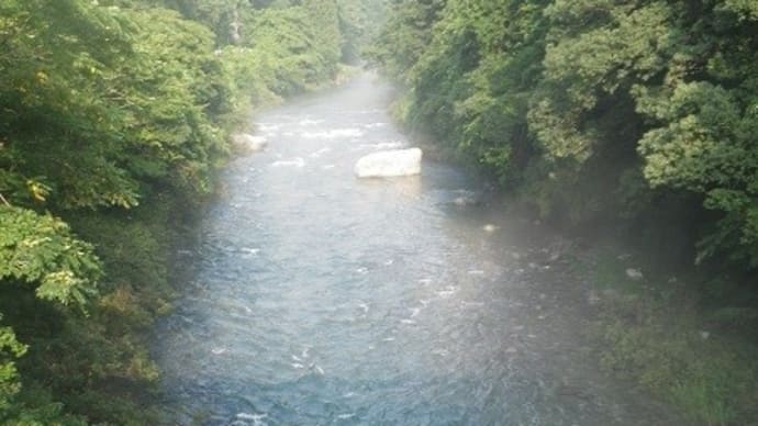 7月30日 水位が高い那比川で鮎釣り！
