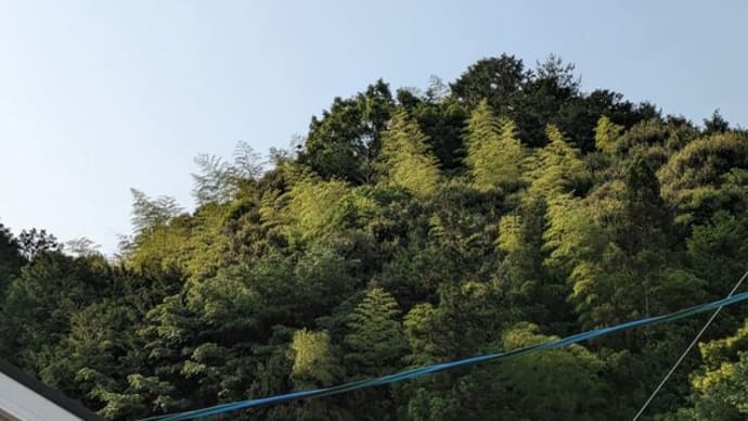 木花開耶毘比売神の言葉 爽やかな一日でした
