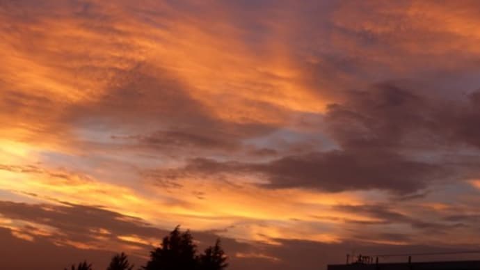 雨も降らないが夕焼けも少ない…多摩川夏景色シリーズ